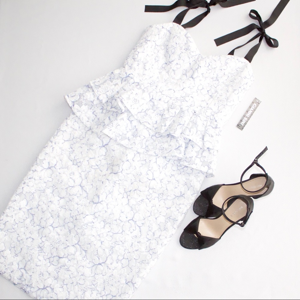 Gianni Bini Peplum Organza Dress